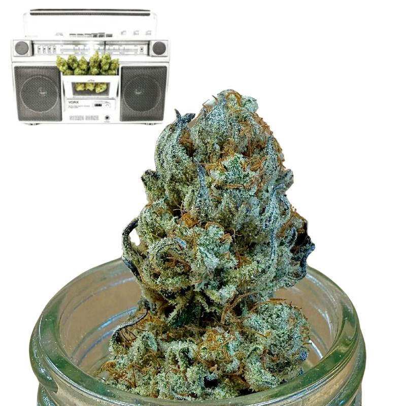 Royal Octane (Indico) "CONNOISSUER SHELF"