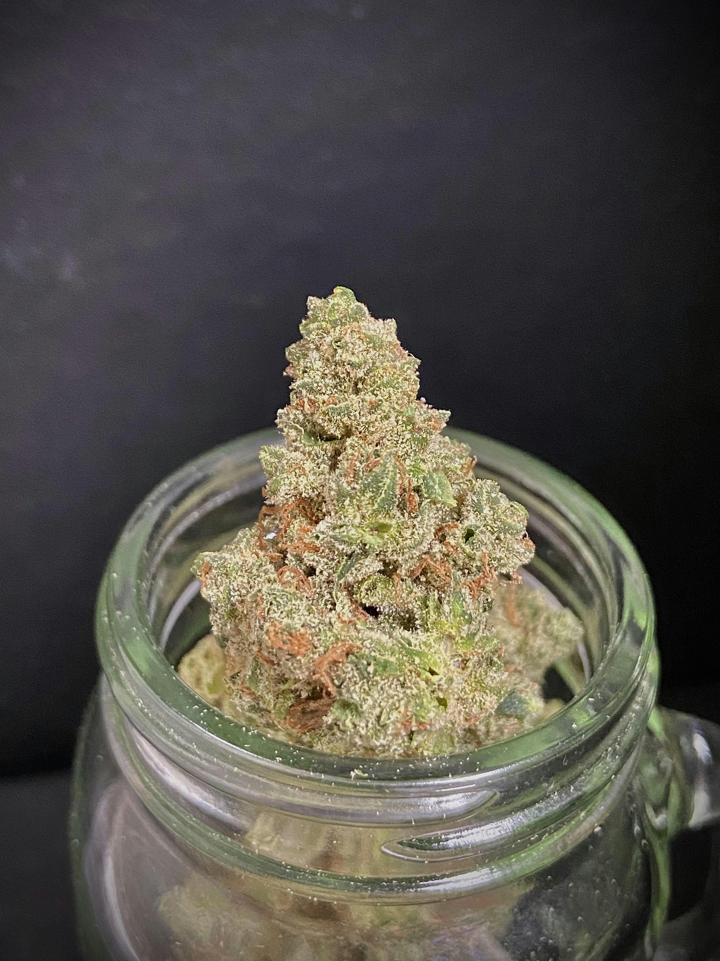 Cherry Lime Haze Bomb x Ardo Silver Shelf