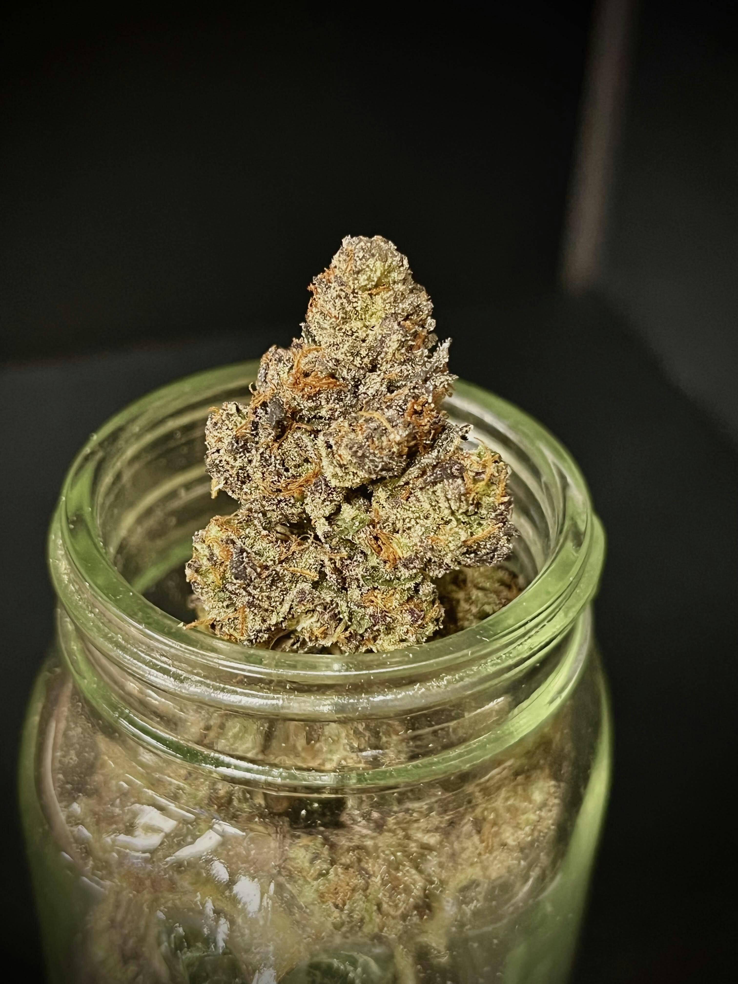 Jealousy {Sherbert Bx1 x Gelato 41} (Sunshine) "BLACK SHELF"