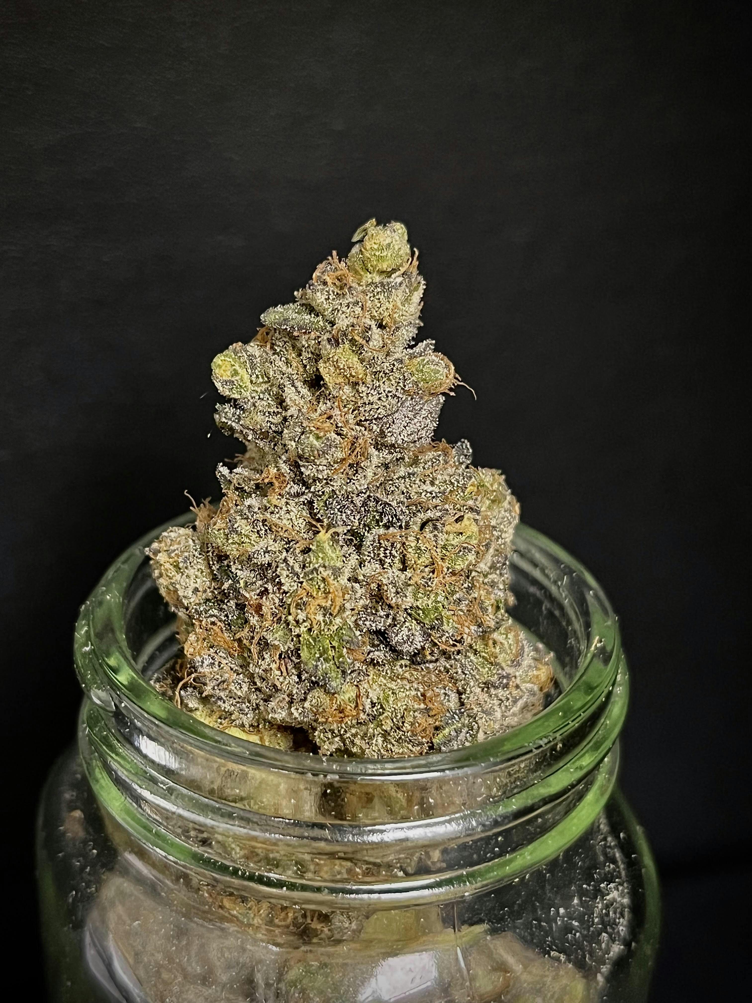 Head Hunter {Pablo's Revenge x Ice Cream Cake bx} (Growlytics) (1/2 OZ Bud Special)