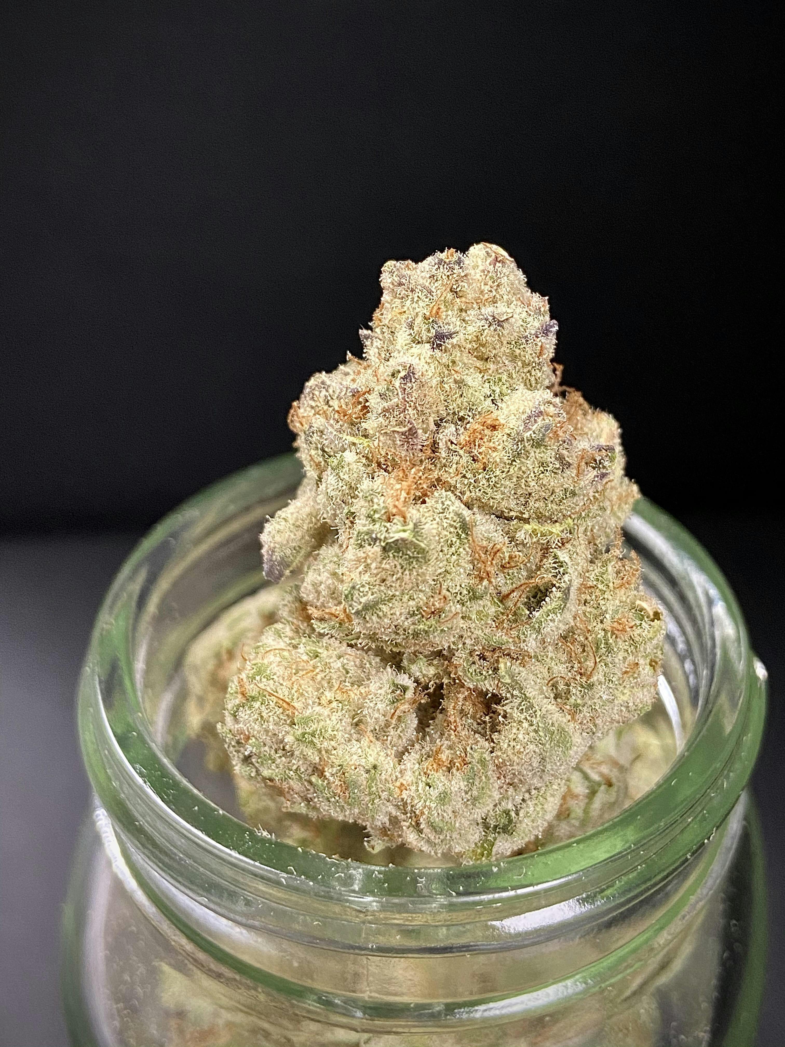 Grape Cream Cake {Grape Pie x Wedding Crasher} (Locol Love) "CONNOISSEUR SHELF"