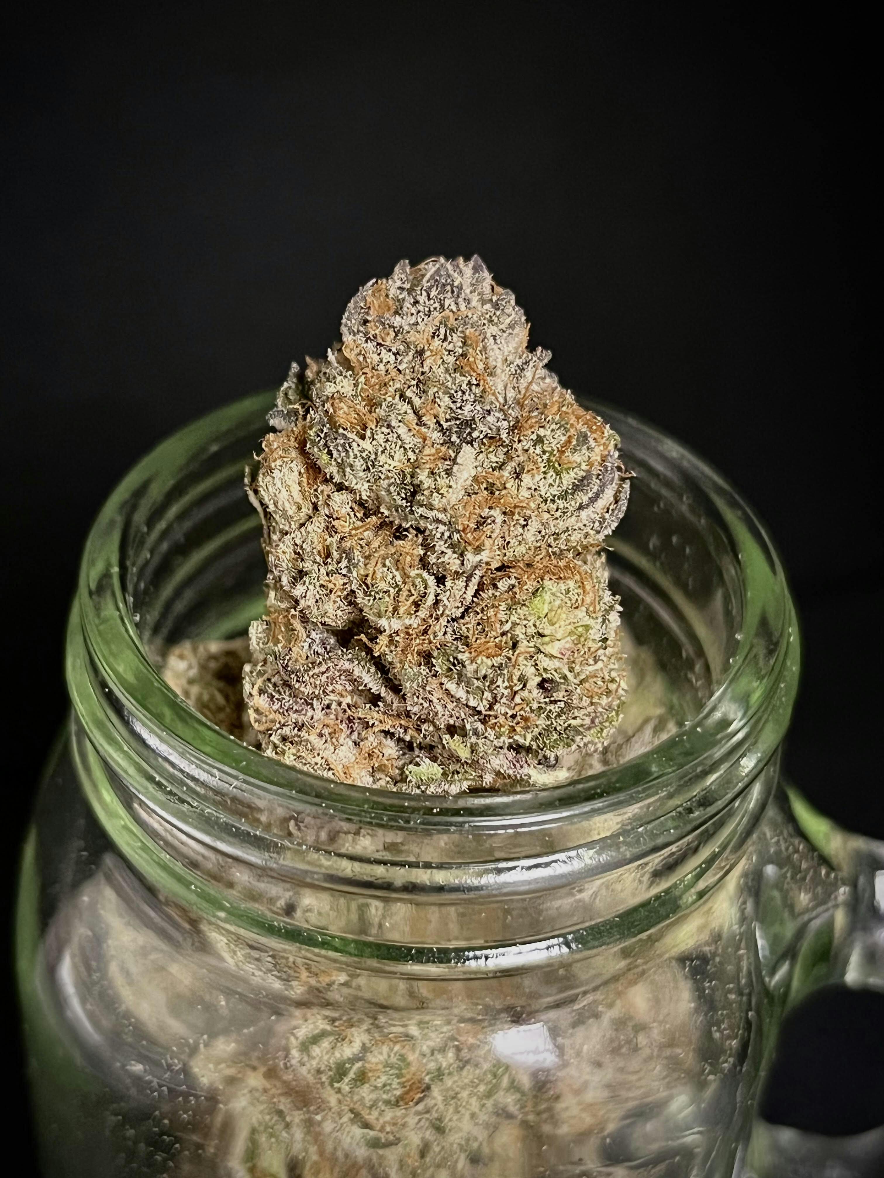 Dante's Inferno #2 {Devil Driver x Oreoz} (Locol Love) (1/2 OZ Bud Special)