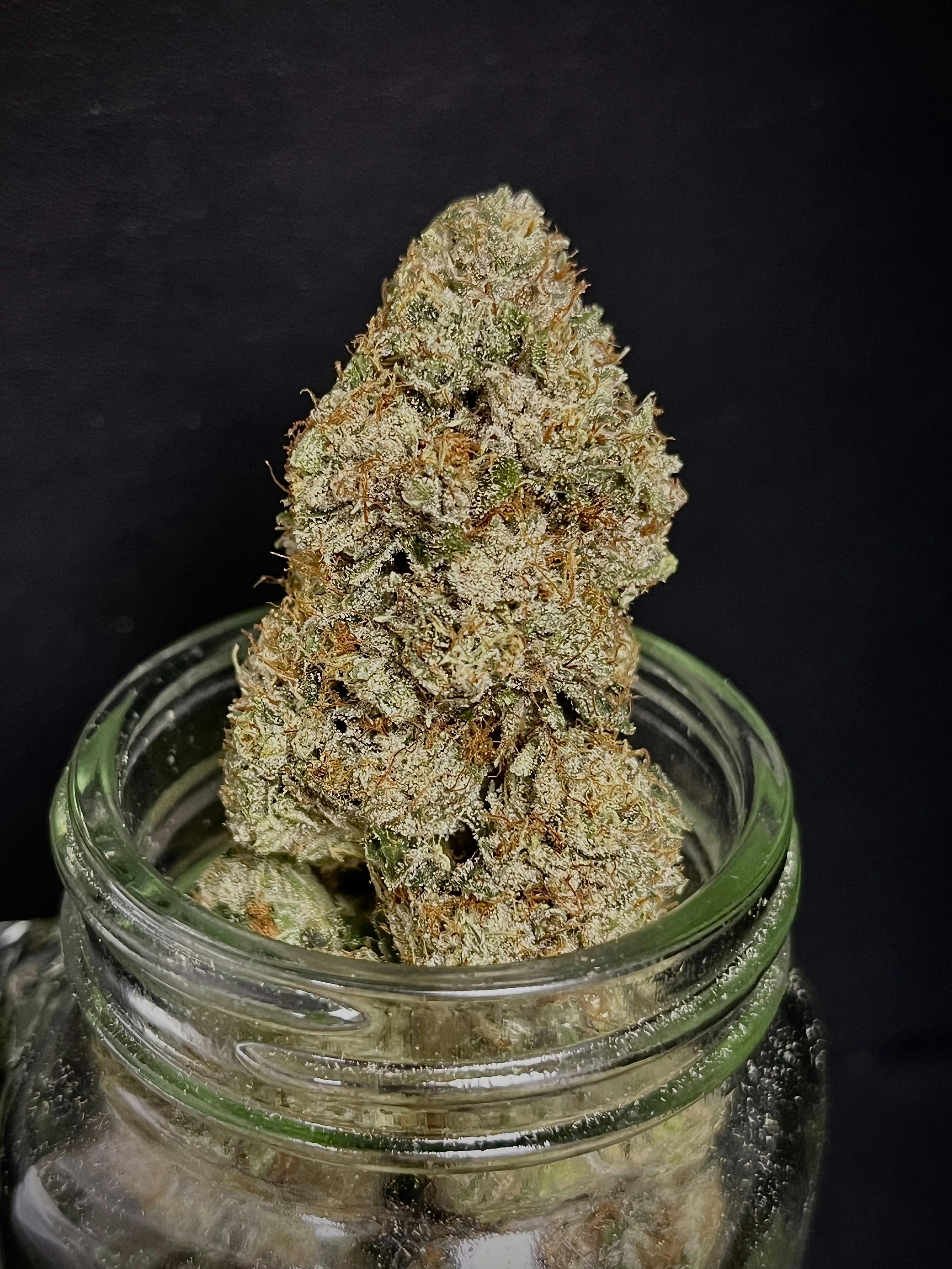 Cake Pie {Cake Dance x Icebox Pie} (Growlytics) "CONNOISSEUR SHEL"