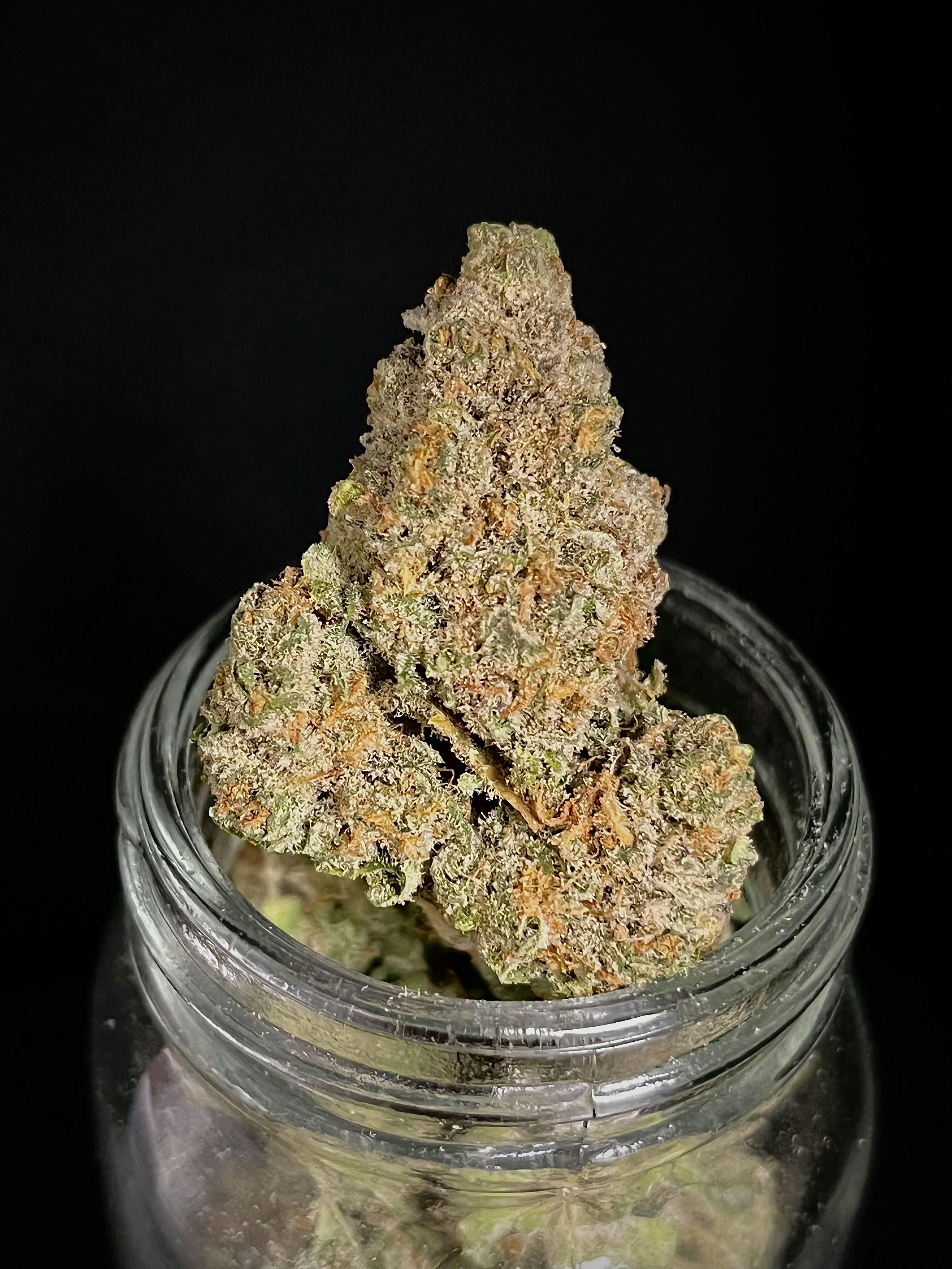 Mac N Jack Herer Black Shelf