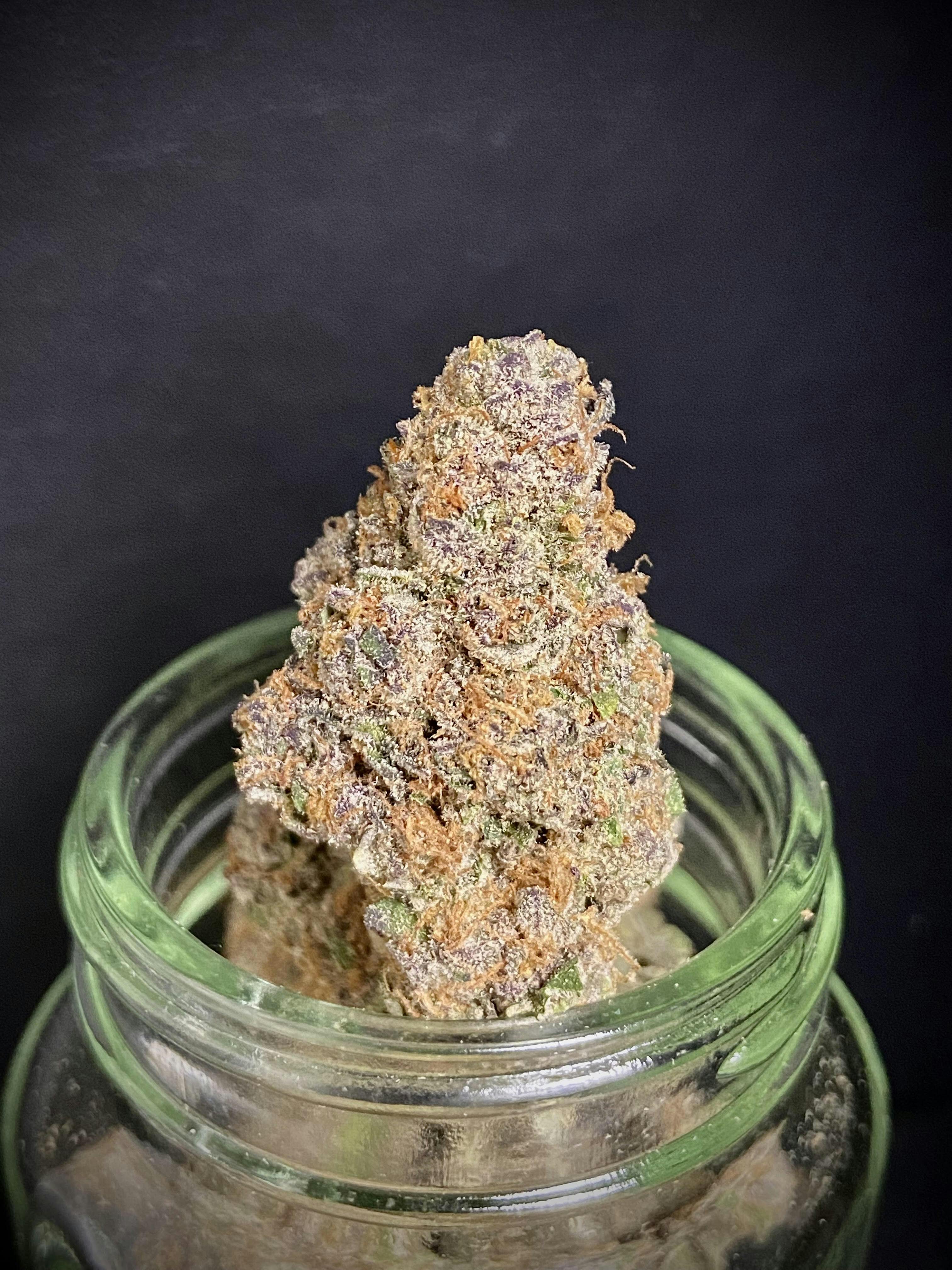 Whoookie Monster Big Buddy Lavender x Appaachia Black Shelf