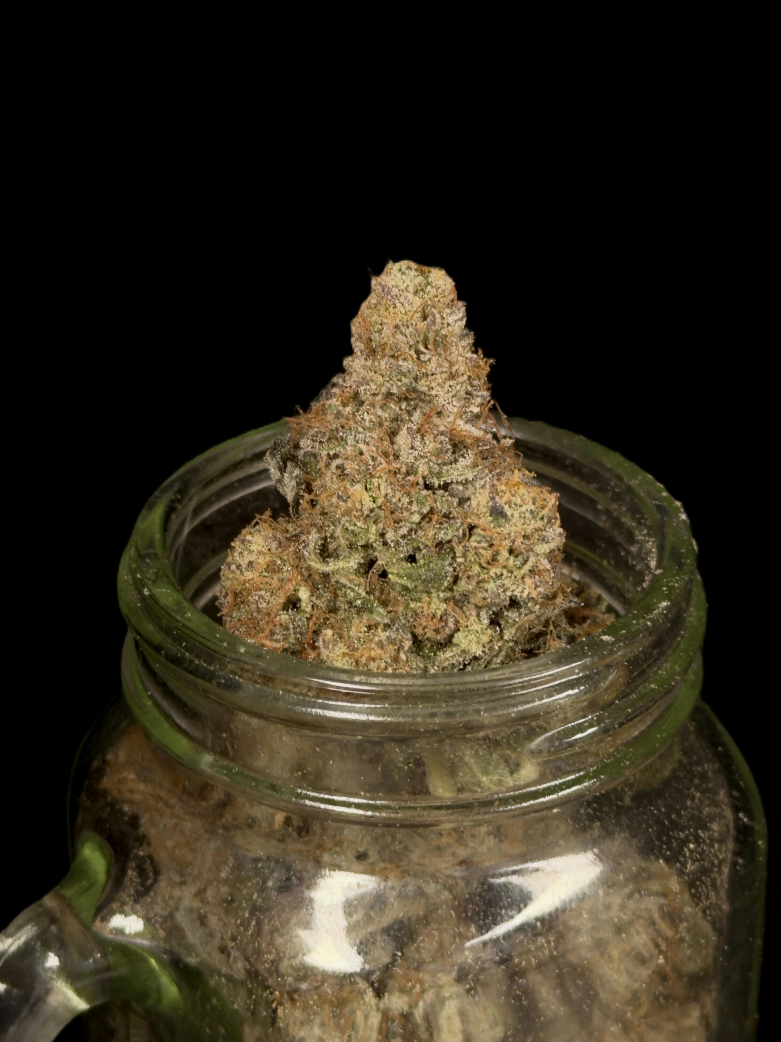 Whoookie Monster Big Buddy Lavender x Appaachia Black Shelf