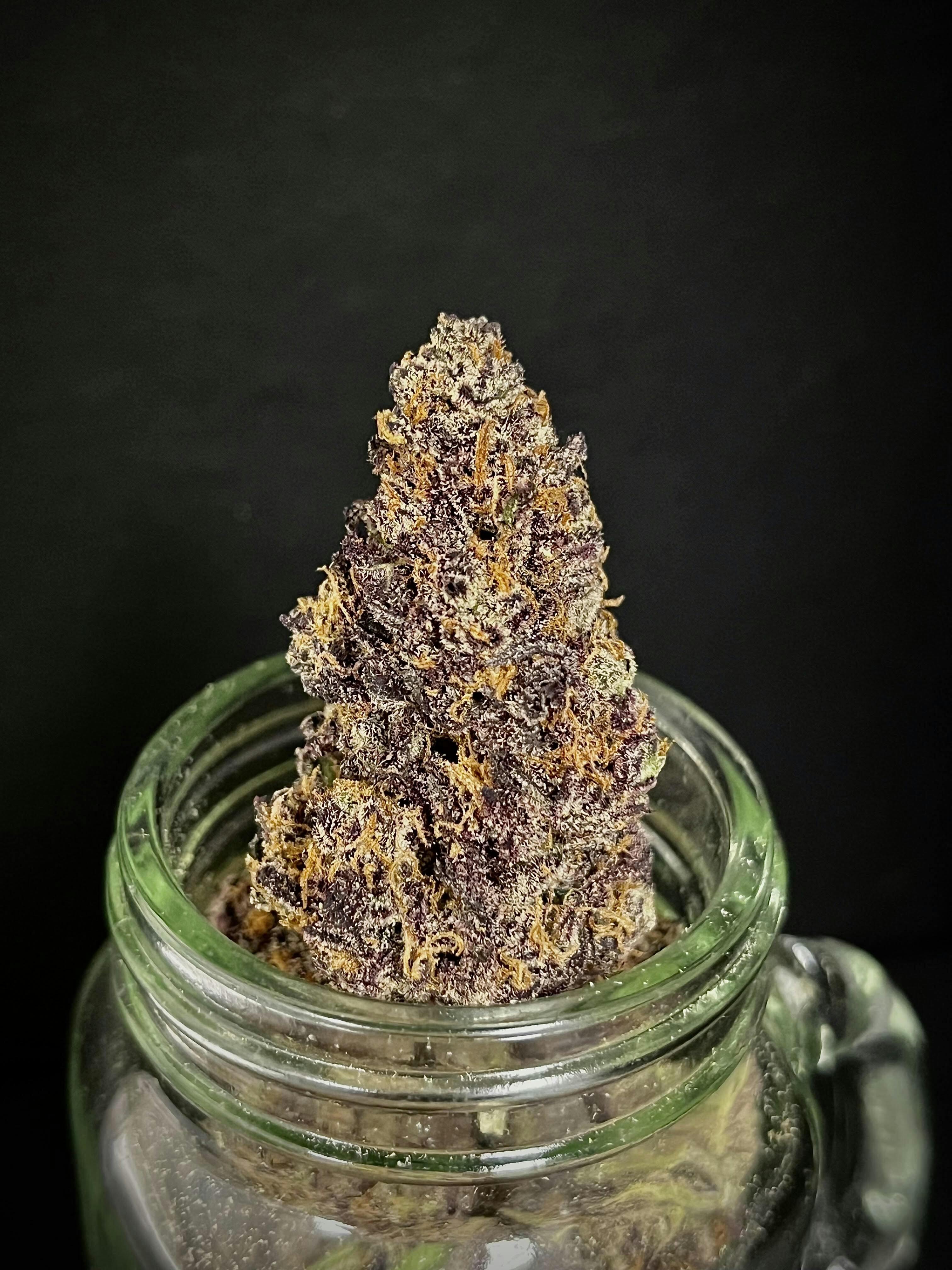Splash Daddy Drippin Aint Easy x Zoap Grateful Grove Gold Shelf