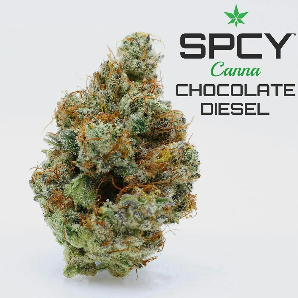 Chocolate Diesel Nyc x Chocolope Spcy Canna Connoisseur Shelf