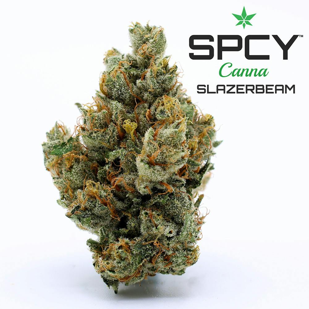 Slazer Beam {Super Lemon Haze x Gupta Kush} (SPCY Canna) (1/2 OZ Bud Special)