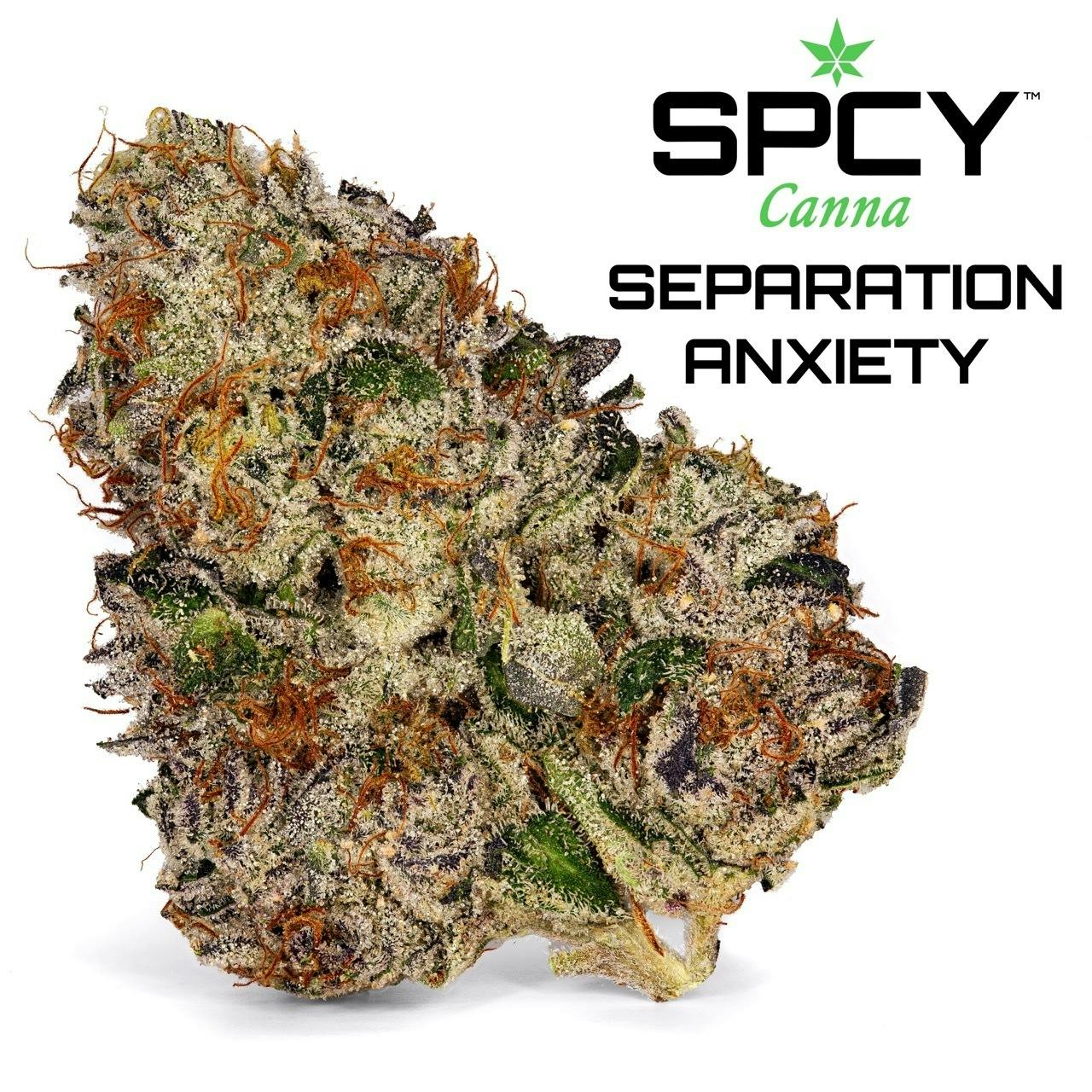 Separation Anxiety {Han Solo Burger x Redneck Wedding} (SPCY Canna) "CONNOISSEUR SHELF"