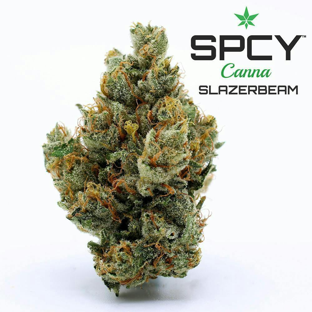 Slazerbeam {Super Lemon Haze x Gupta Kush} (SPCY Canna) "CONNOISSEUR SHELF"
