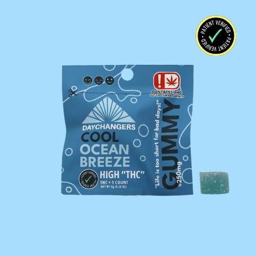 Day Changer - Ocean Breeze -SINGLES- 250mg MAX THC