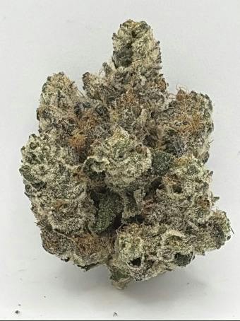 313 Farms (Agape) Kiwi Runtz Hybrid Prepack Flower 3.5g