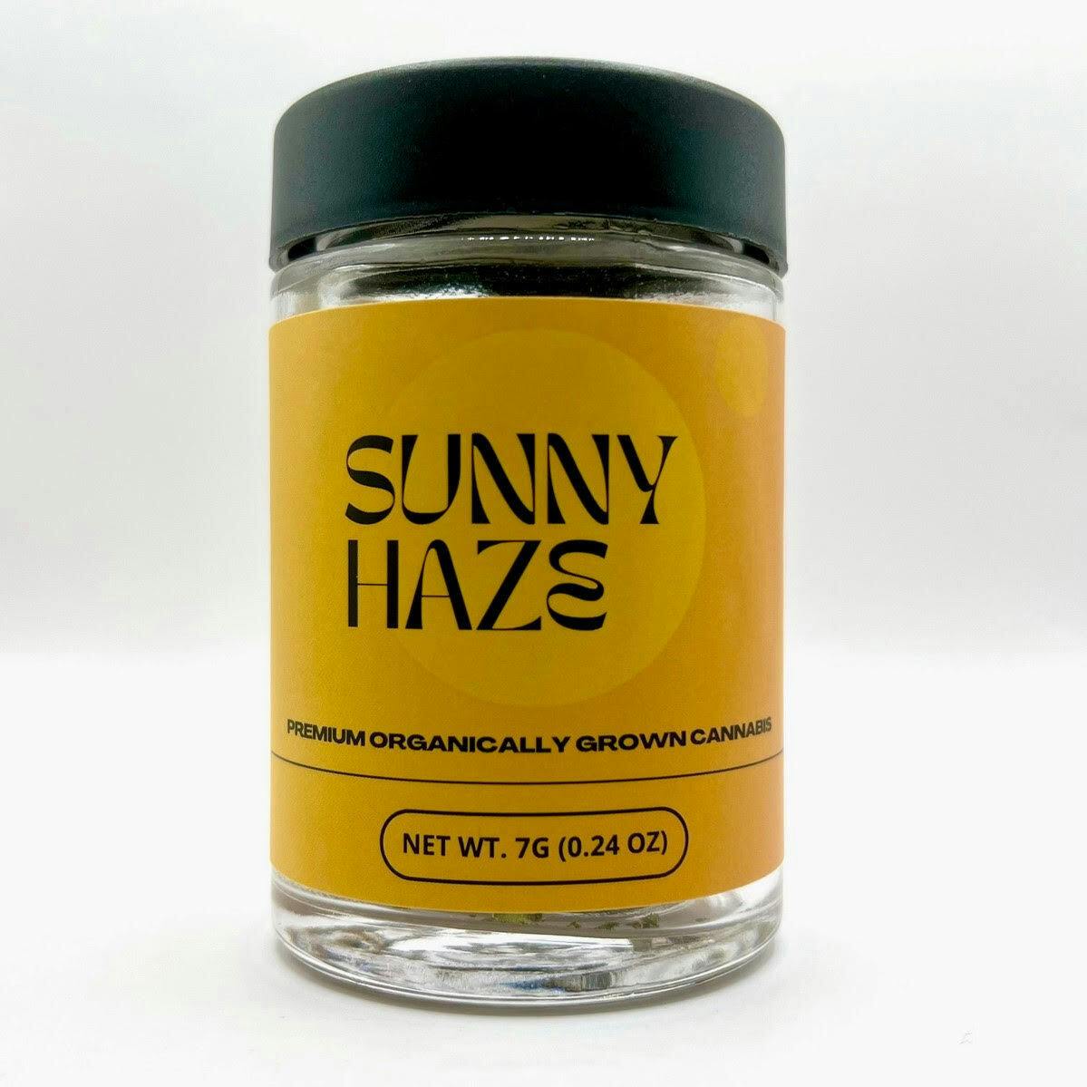 SUNNY HAZE: Cheez It