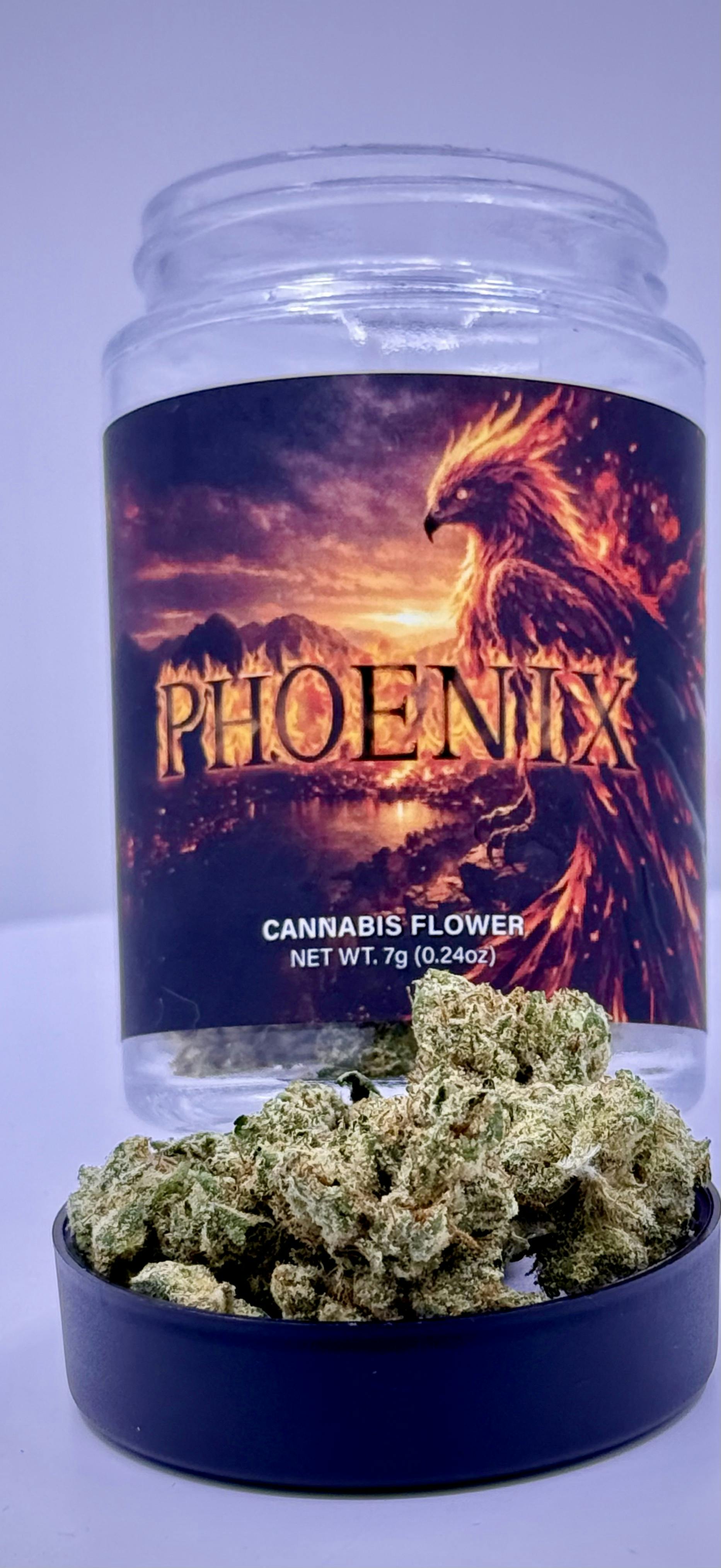Phoenix: Royal Phoenix