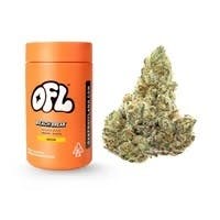 Blue Dream Premium Flower Jar 14g - Big Buds by Oakfruitland (OFL)