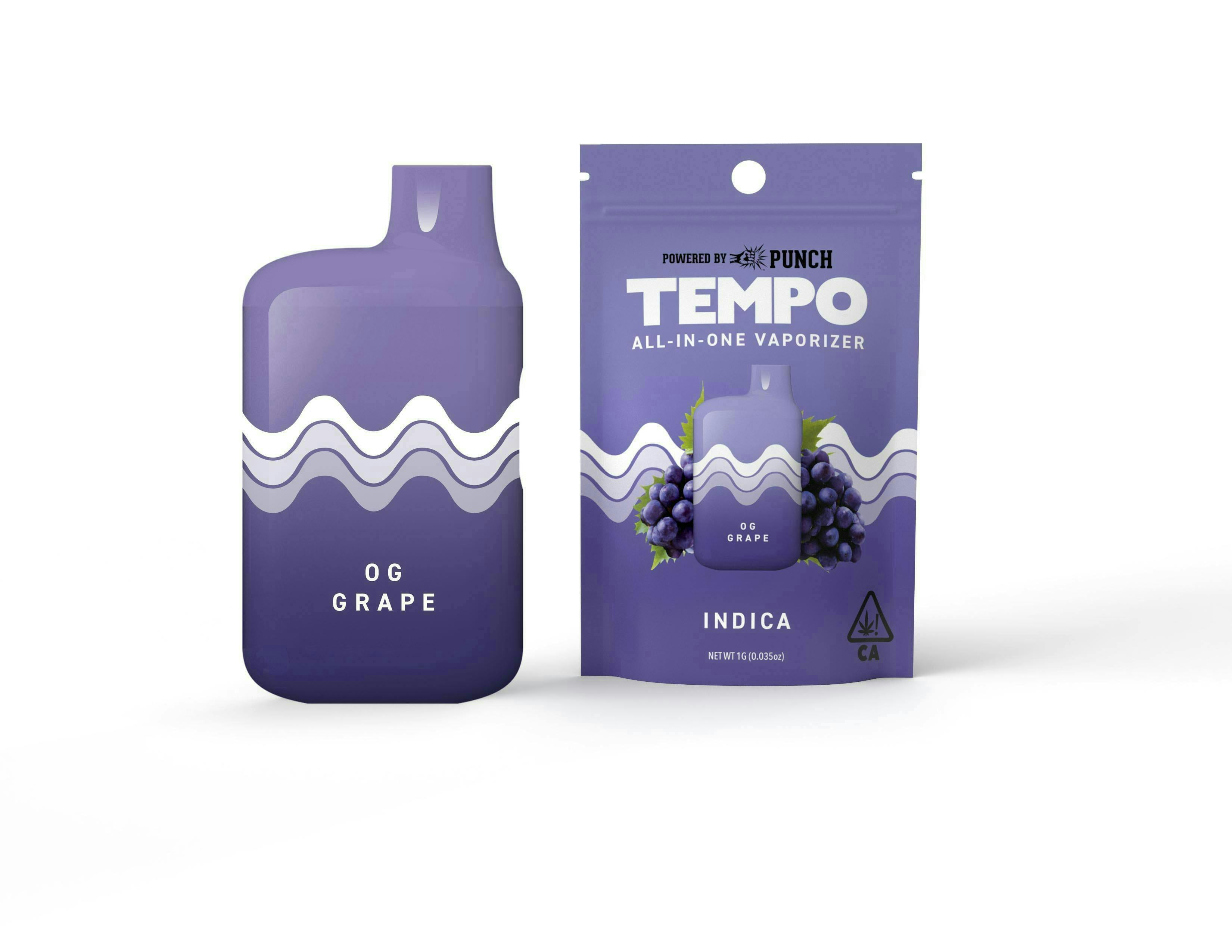 Tempo | OG Grape | AIO Disposable | 1g
