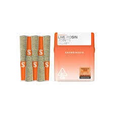 SHERBINSKIS X DOJA: Lemon Sherb