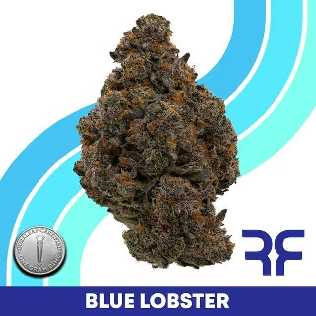 GRASSROOTS | FLOWER | BLUE LOBSTER | 1G | HYBRID at Buffalo Dreams Dispensary
