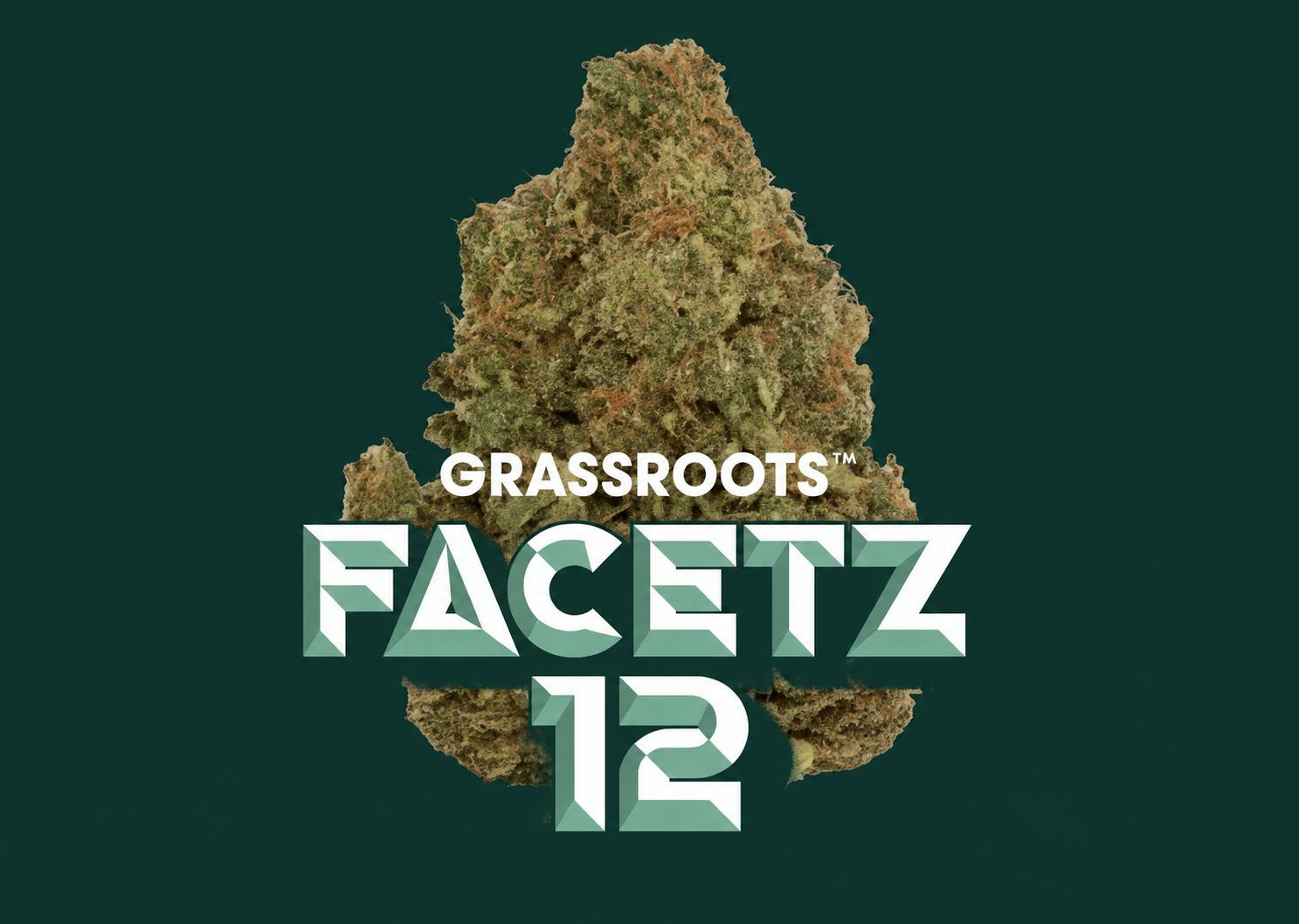 GRASSROOTS | FLOWER | FACETZ | 14G | INDICA