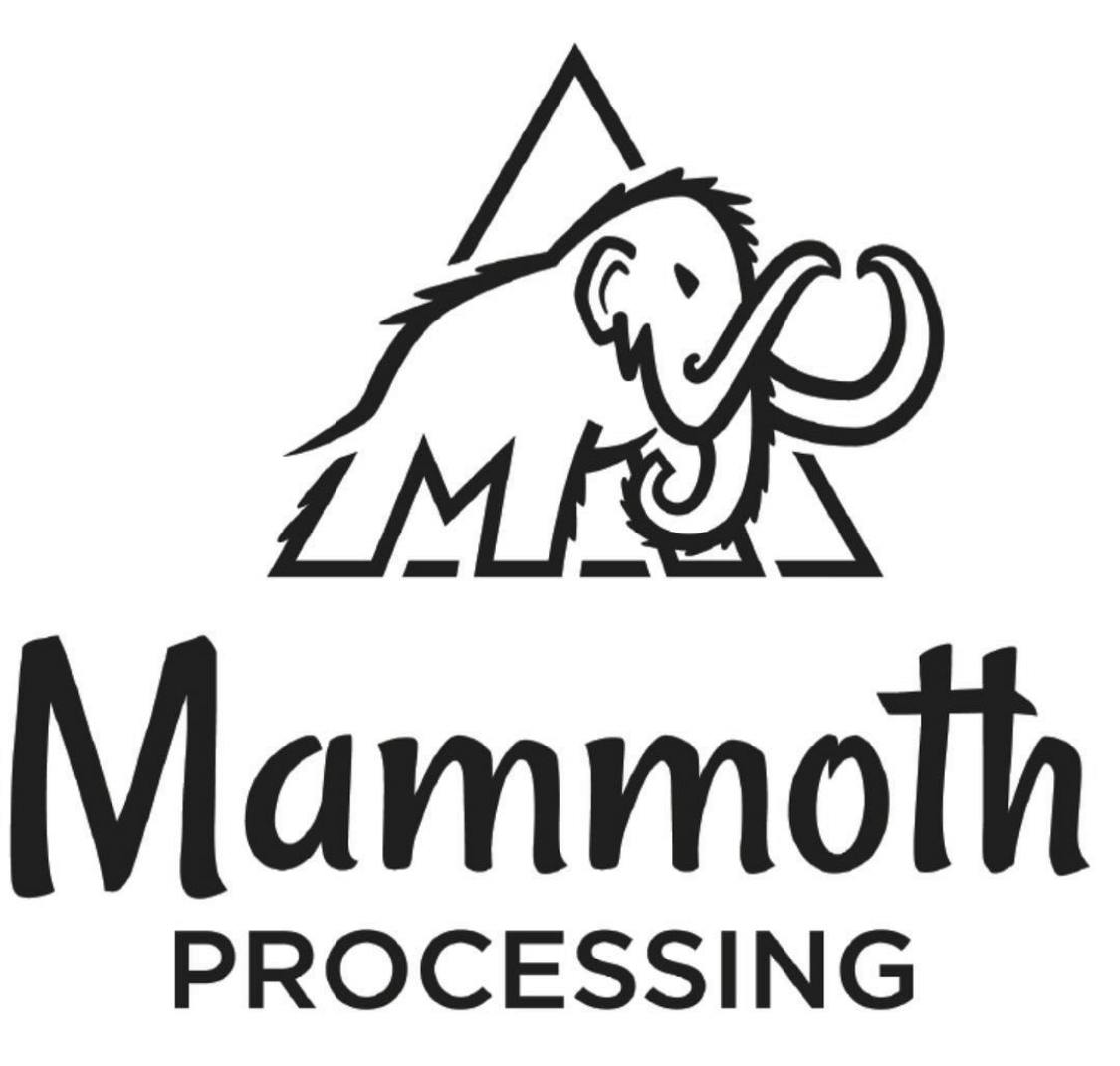 3G RSO SYRINGE - MAMMOTH