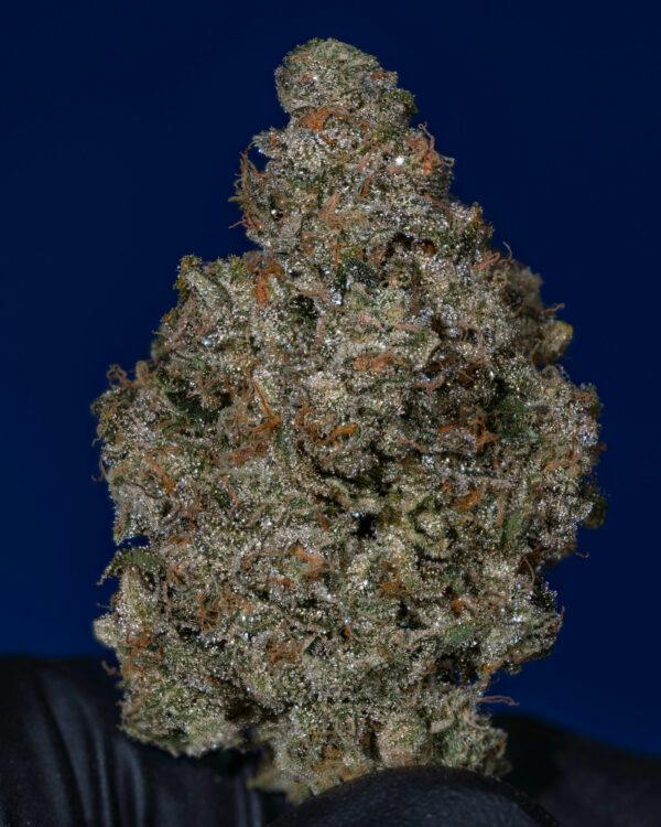 JEFF GORDON - 3.5G FLOWER - PLATINUM - THICC (NO DISCOUNTS)