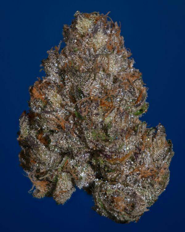 CLOUT 9 - 3.5G FLOWER - PLATINUM - THICC (NO DISCOUNTS)