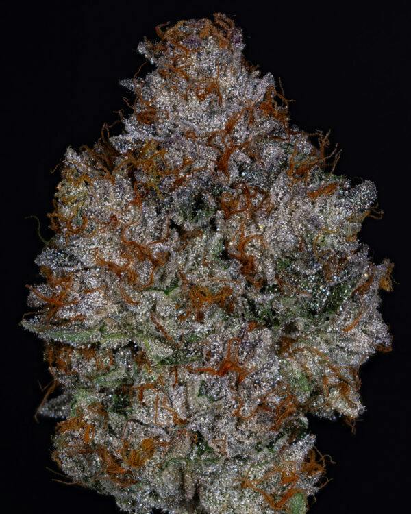 GARY PAYTON - 3.5G FLOWER - PLATINUM - THICC (NO DISCOUNTS)