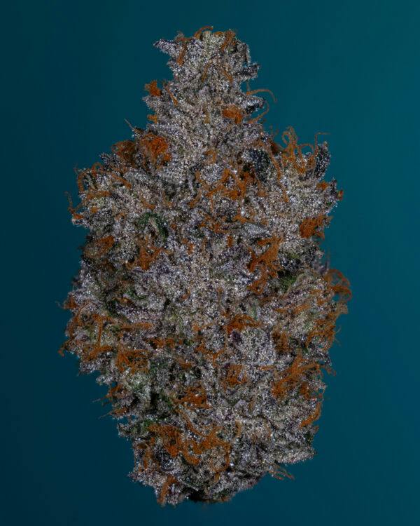 GUNNER - 3.5G FLOWER - PLATINUM - THICC (NO DISCOUNTS)