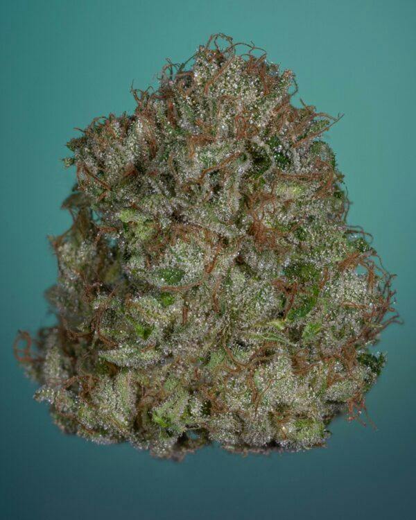 BLUEBERRY RANCHER - 3.5G FLOWER - PLATINUM - THICC (NO DISCOUNTS)