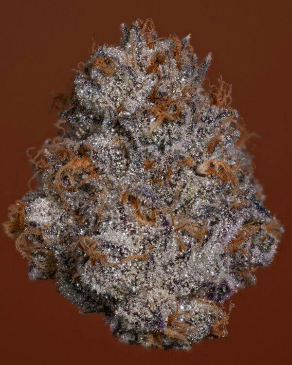 PINA PISSADA - 3.5G FLOWER - PLATINUM - THICC (NO DISCOUNTS)