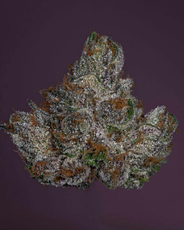 DIABEETEZ - 3.5G FLOWER - PLATINUM - THICC (NO DISCOUNTS)