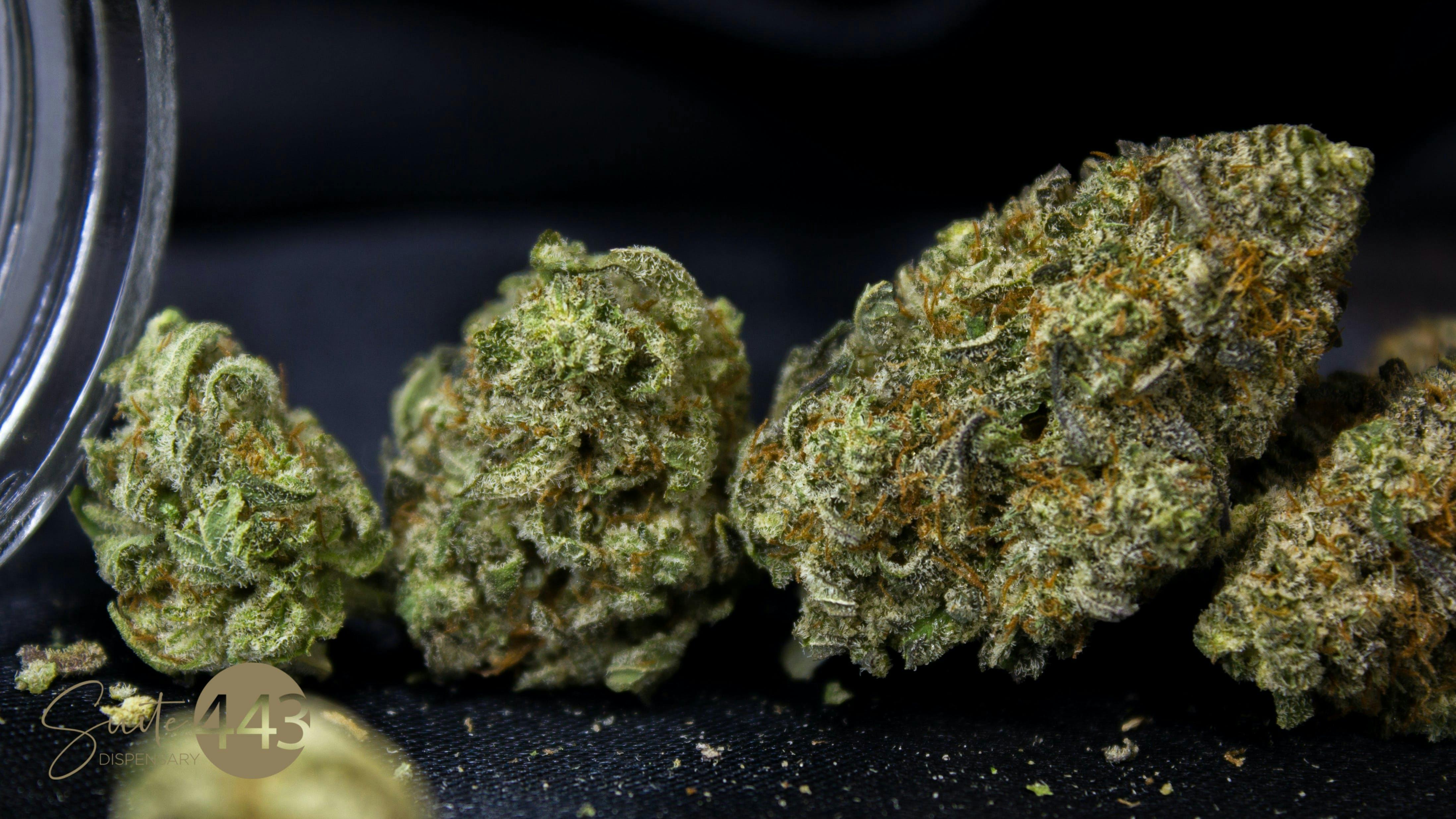 Osage Creek Cultivation | Eleven Roses | Flower | 3.5G