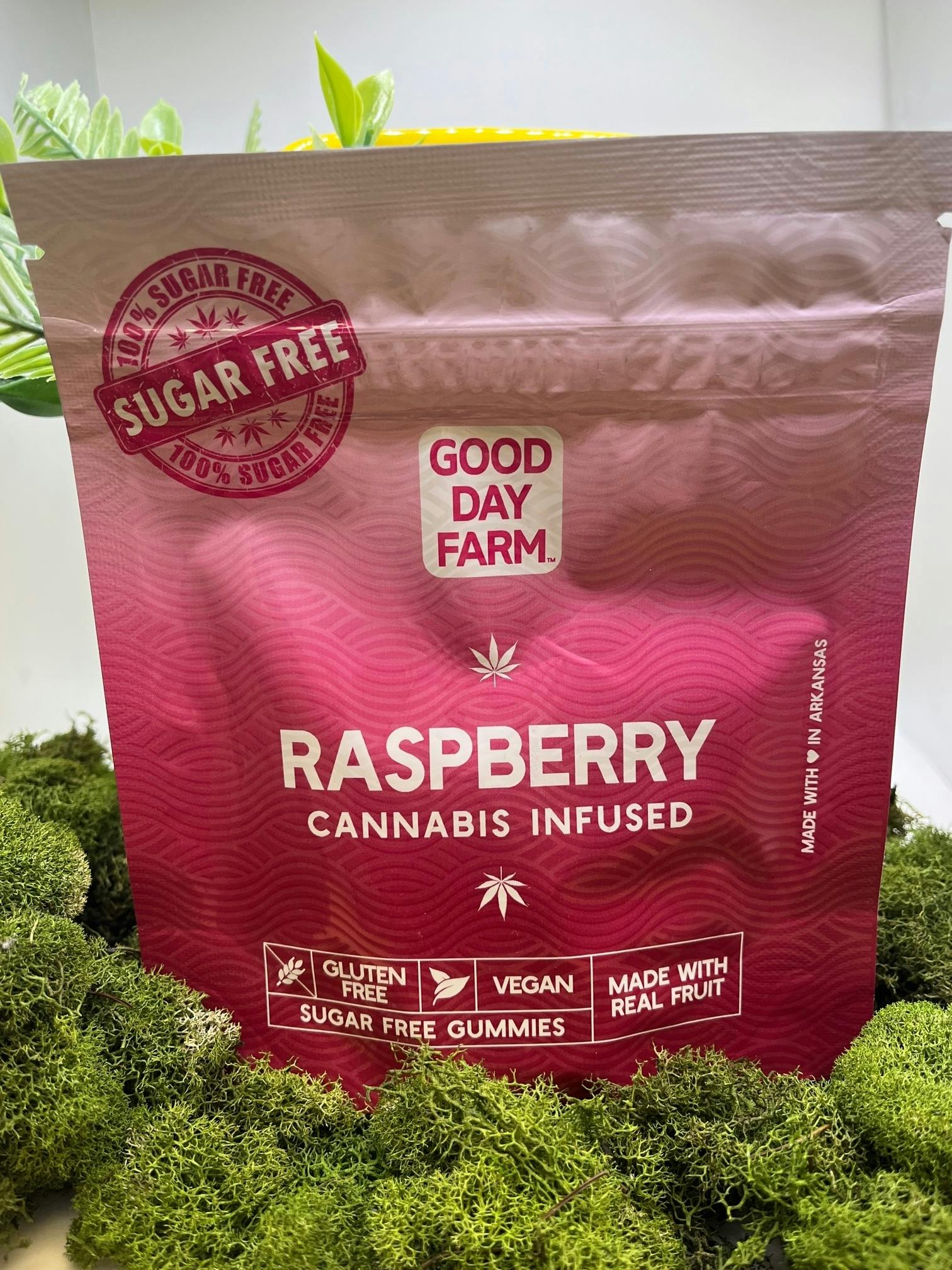 Good Day | Raspberry Gummies | 100mg | 10ct | 10mg/ea