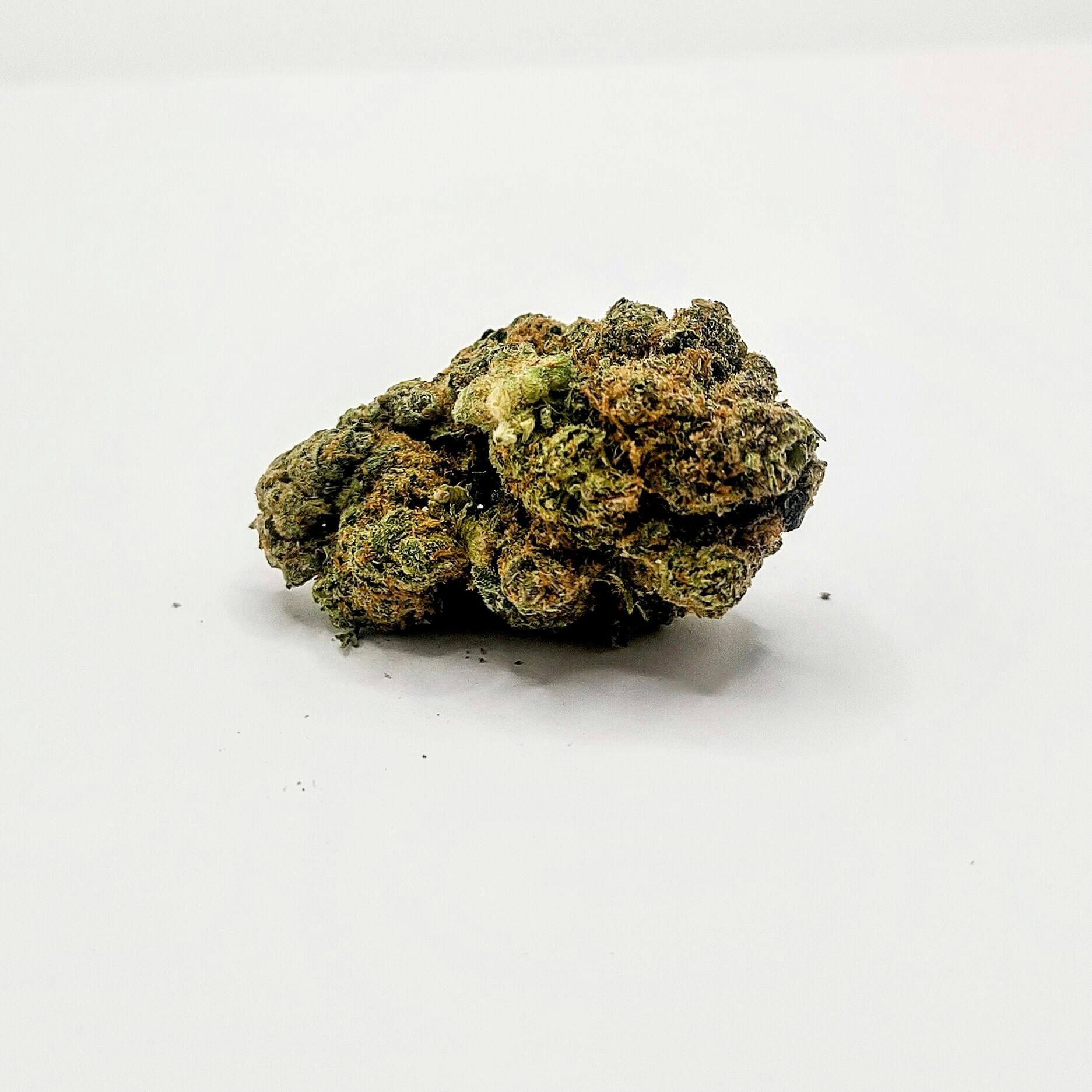 Tommy Chong: Flower | Hashplant | 3.5g