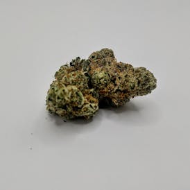 Cream Cake - Bold (TOP SHELF)