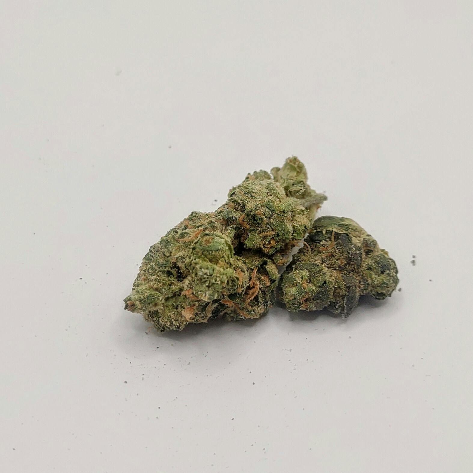 Bold: Flower | Double Stack | 3.5g