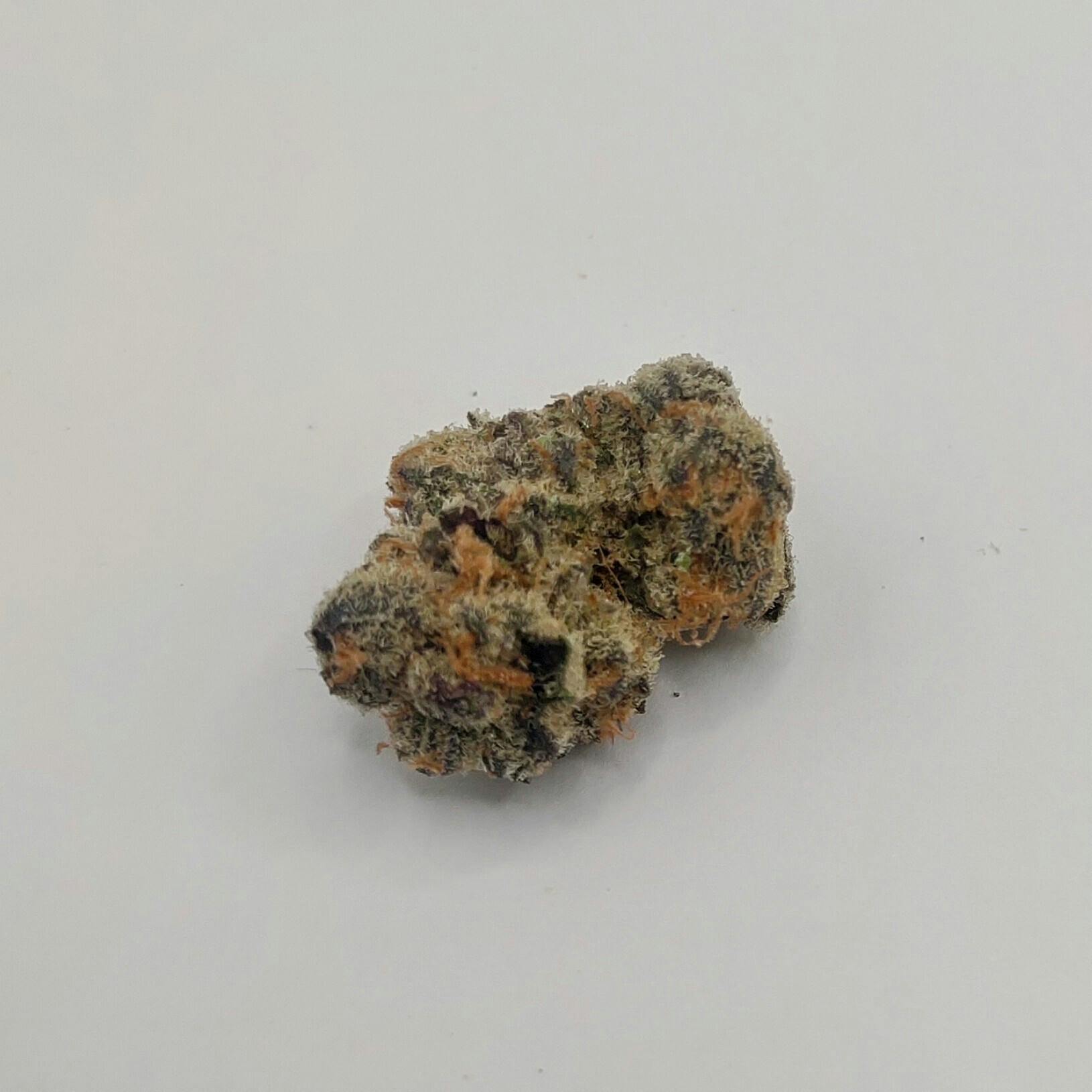 Tical: Flower | Glitter Bomb Top Shelf | 3.5g