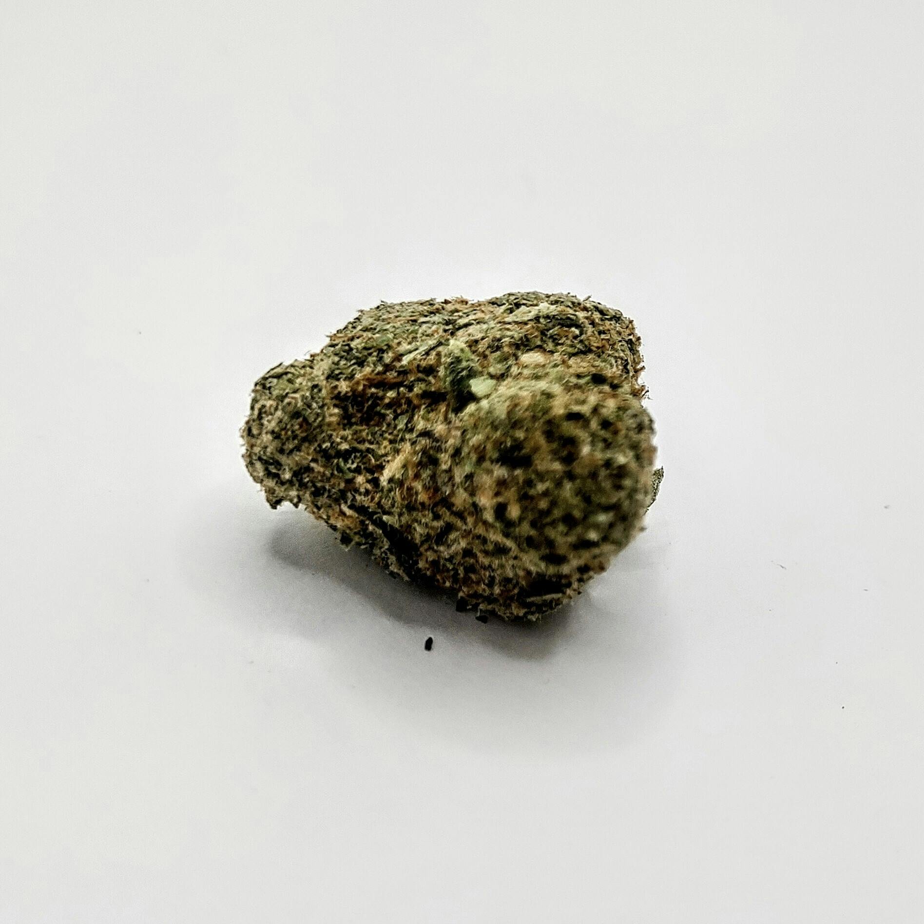 Bold: Flower | Grand Daddy Purple | 14g