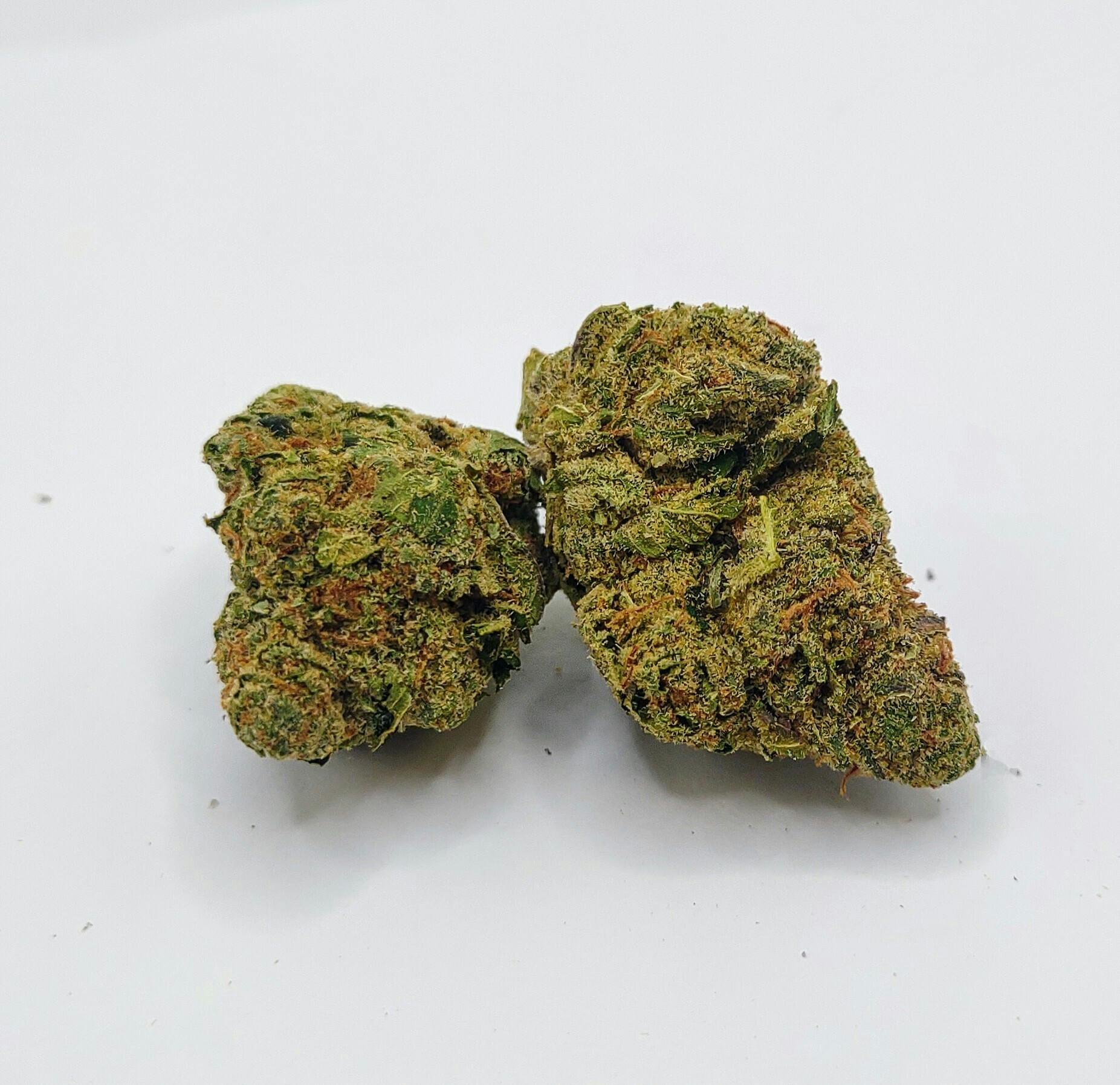 Bold: Flower | Holy Roller OG | 3.5g