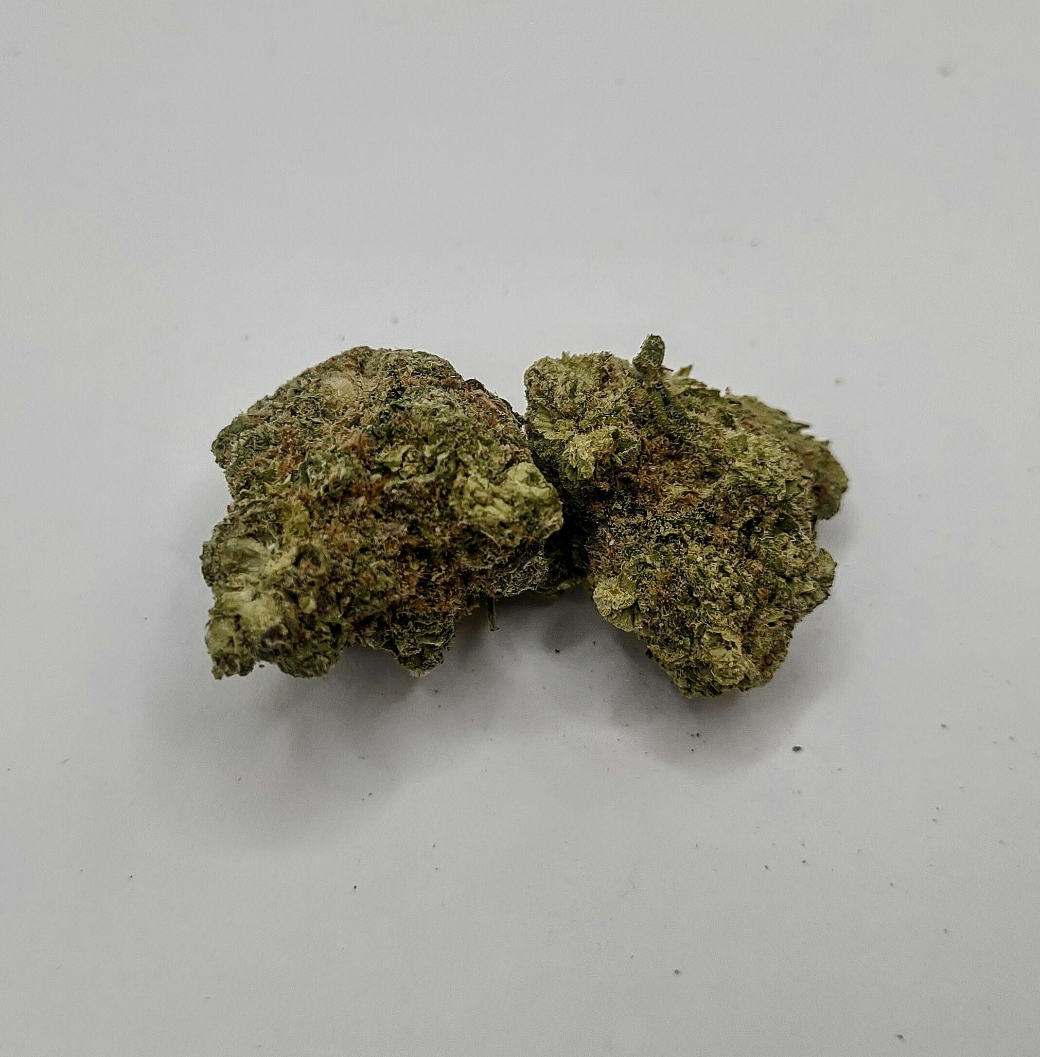 Bold: Flower | Member Berry | 3.5g