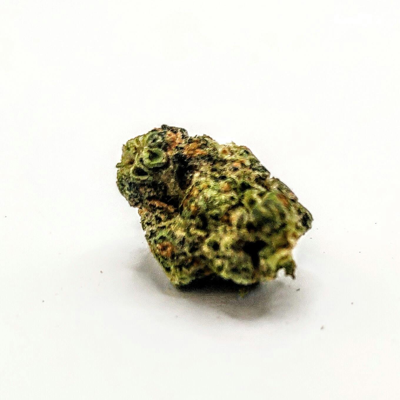 Bold: Flower | La Bomba Top Shelf | 3.5g