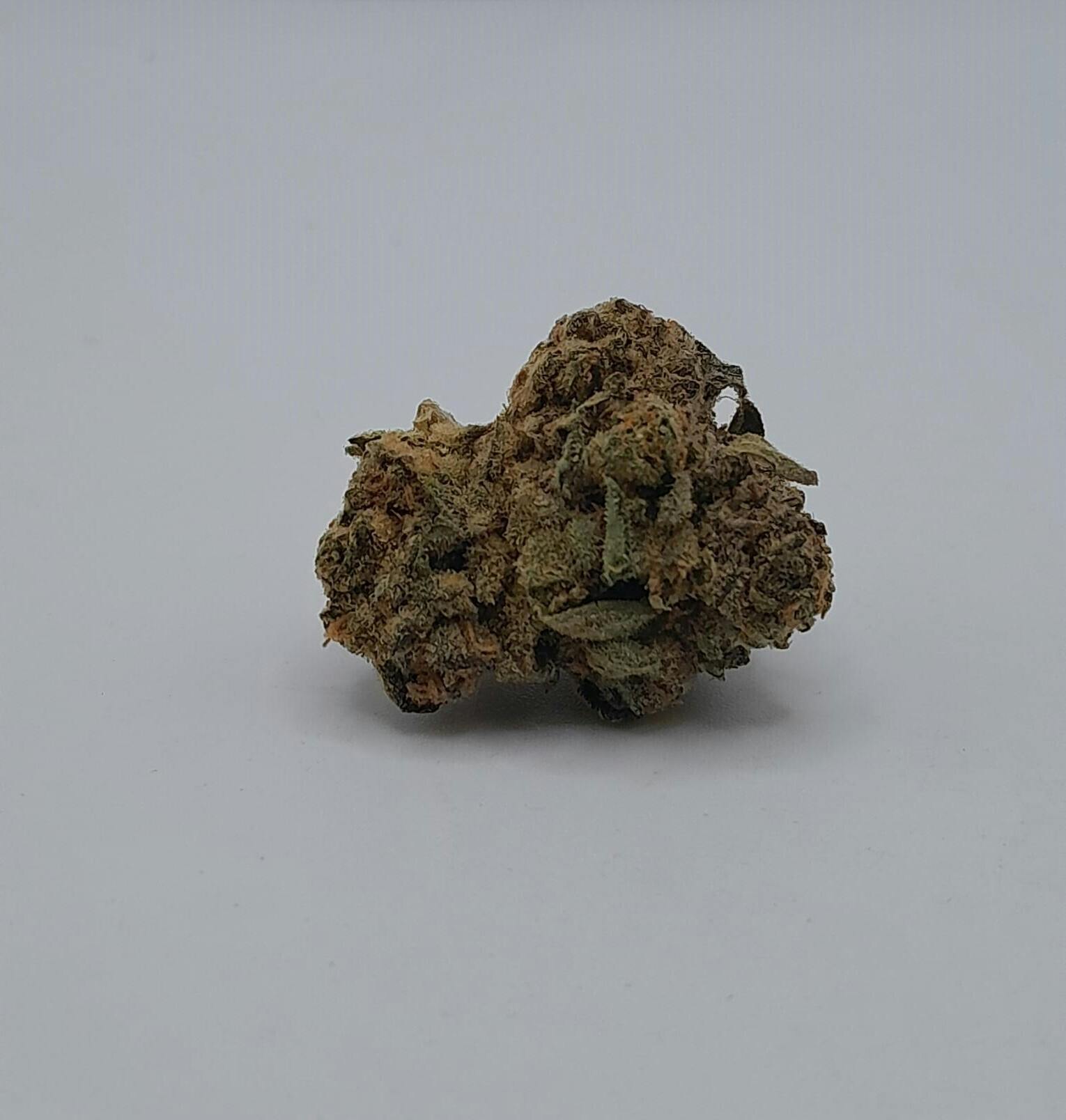 Good Day Farm: Flower | Banana Cream Cake x Jealousy | 3.5g