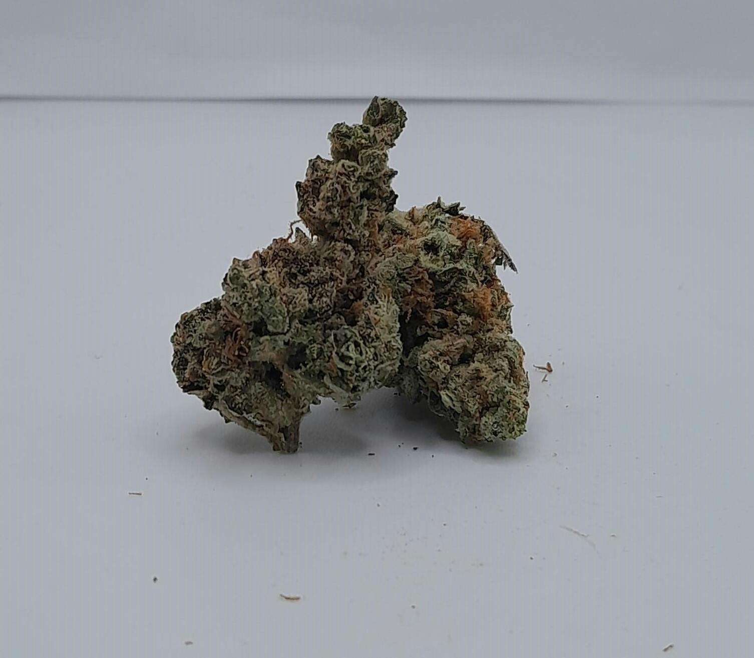 Osage Creek: Flower | Meep Meep | 3.5g