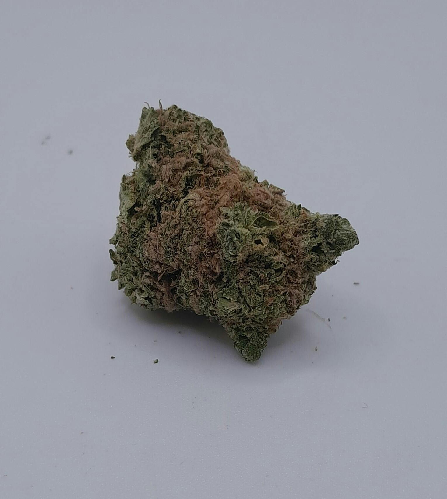 Bold: Flower | Durban Poison | 3.5g