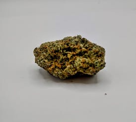 Blackwater - Natural State Medicinals (TOP SHELF)