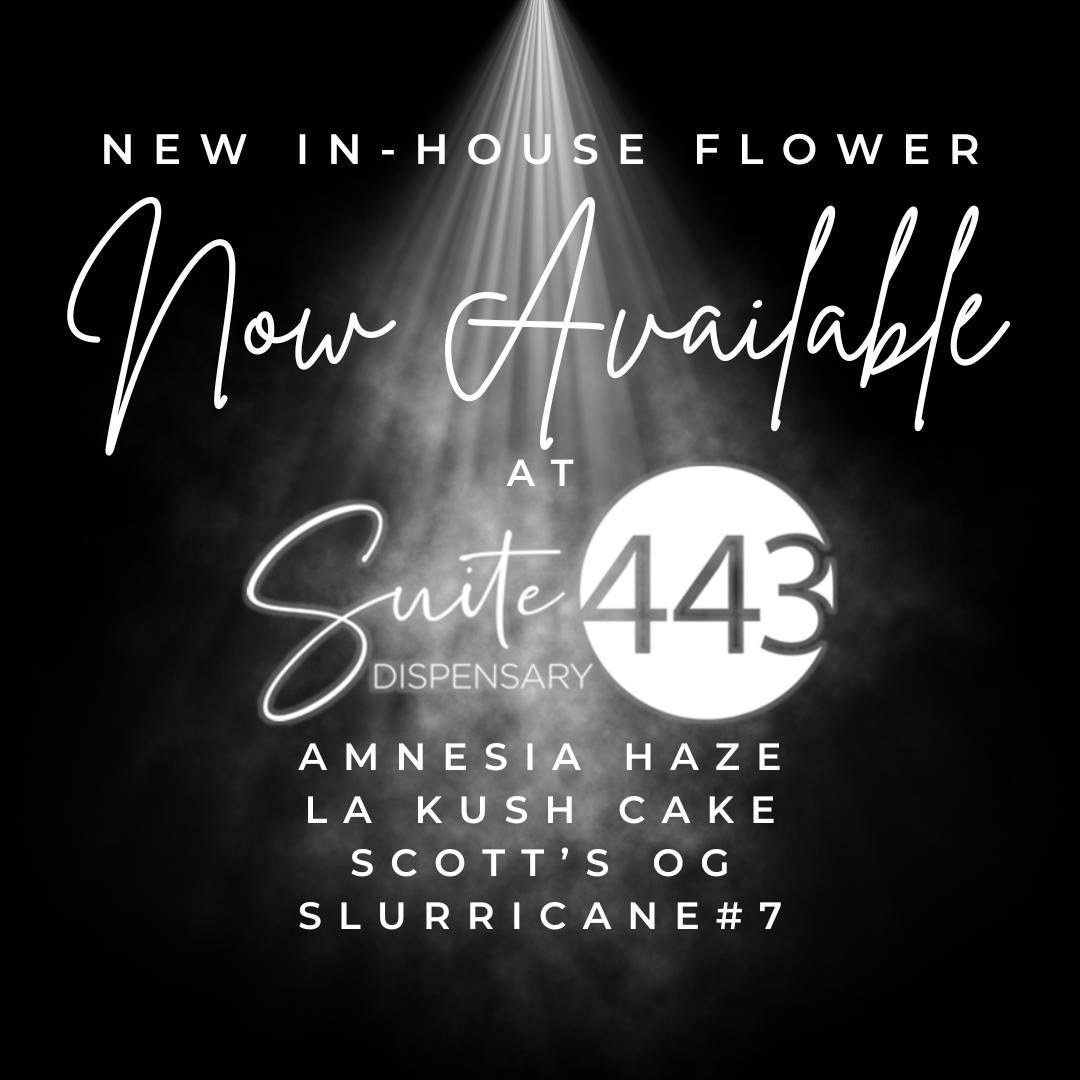 New Suite 443 Flower NOW AVAILABLE!