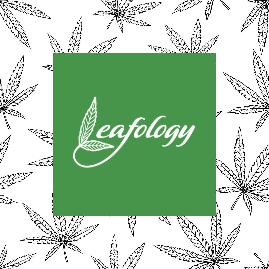 Leafology: Flower | Uncle JPZ | 3.5g