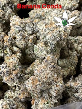 FLOWERBOMB - BANANACONDA (3.5g $20 OZ's $100)