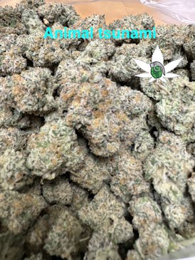 FLOWERBOMB - ANIMAL TSUNAMI ( 3.5G $20 OZ $100)